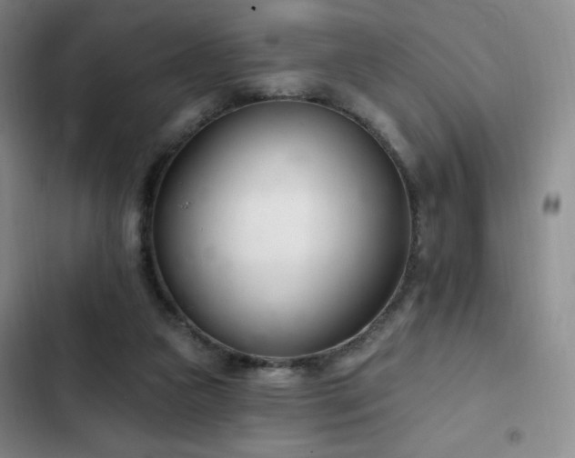 X0000103170161200808221243