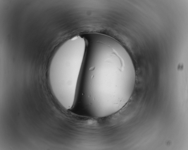 X0000103170162200808221243