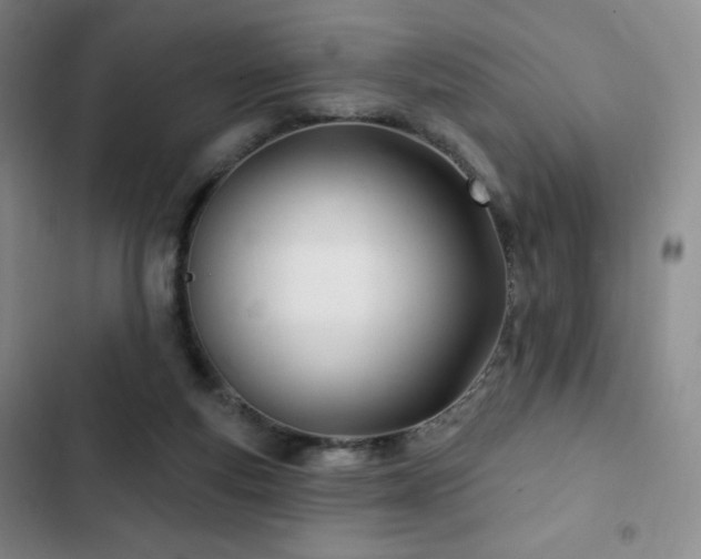 X0000103170163200808221243