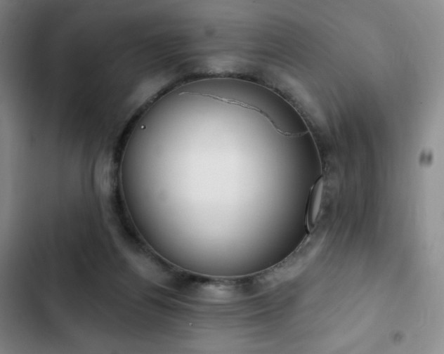 X0000103170164200808221243