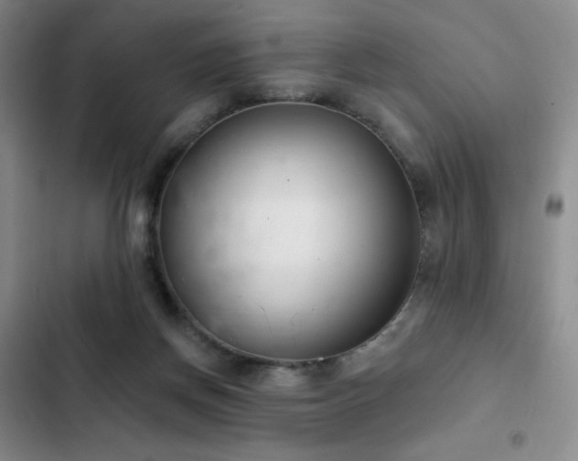 X0000103170166200808221243