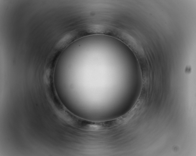 X0000103170167200808221243