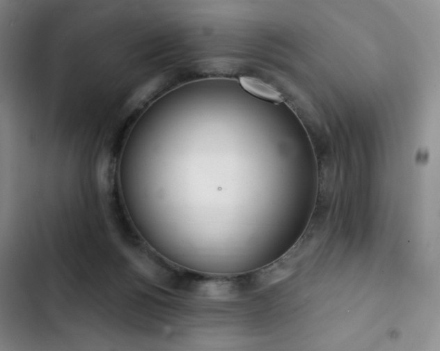 X0000103170168200808221243