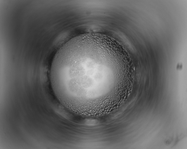 X0000103170169200808221243