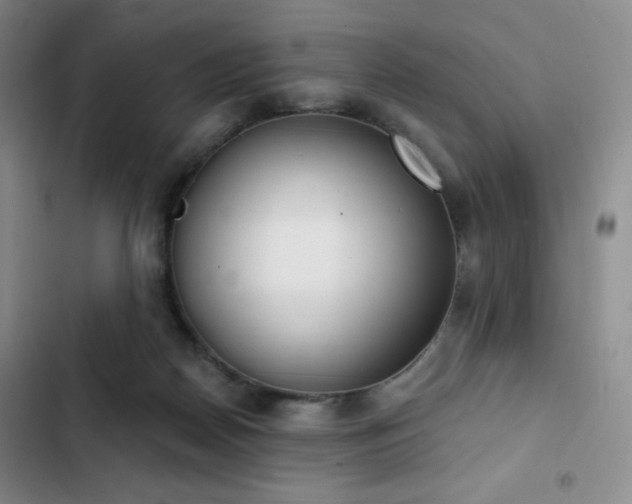 X0000103170170200808221243