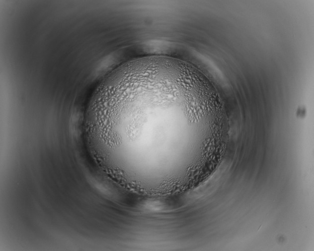 X0000103170171200808221243