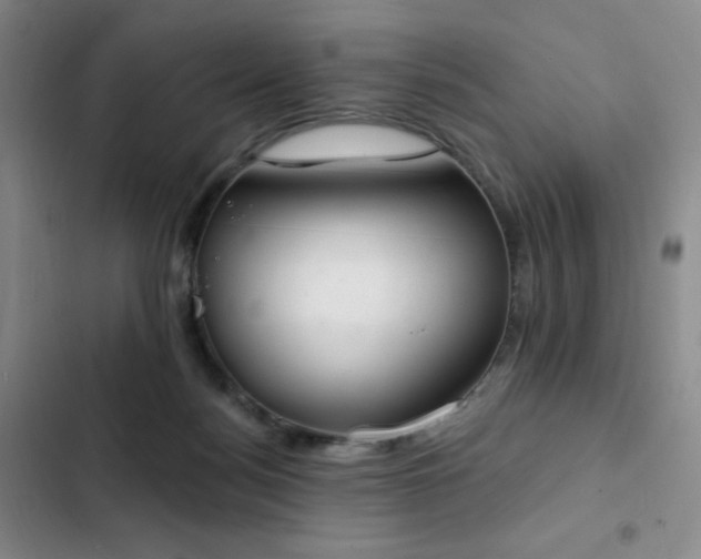 X0000103170172200808221243