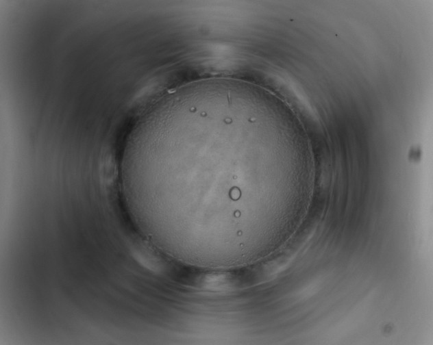 X0000103170173200808221243