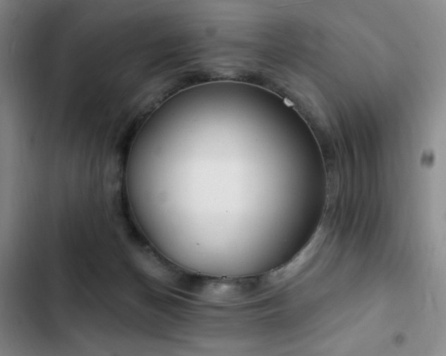 X0000103170174200808221243