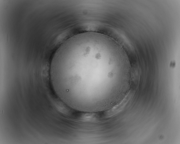 X0000103170175200808221243