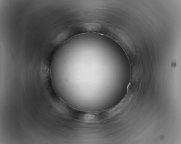 X0000103170176200808221243