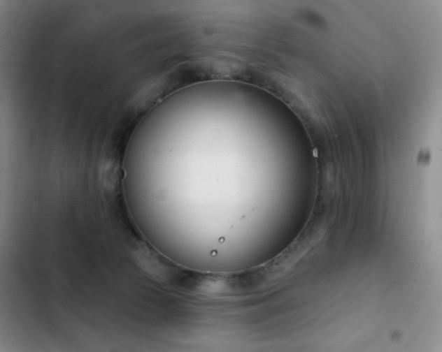 X0000103170177200808221243