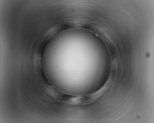 X0000103170178200808221243