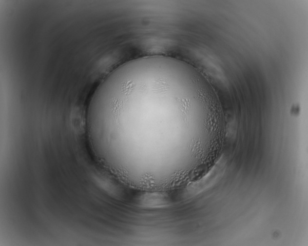 X0000103170179200808221243