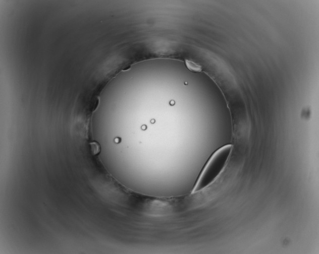 X0000103170180200808221243