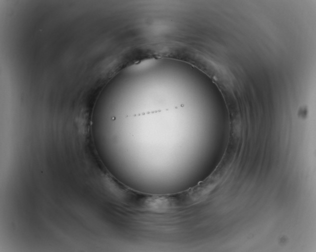 X0000103170181200808221243