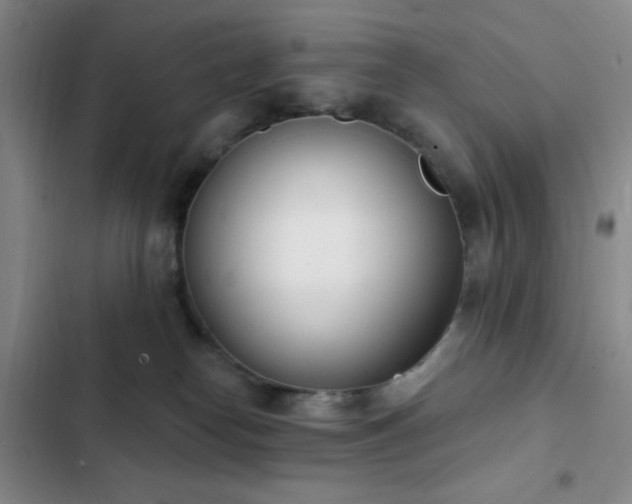 X0000103170182200808221243