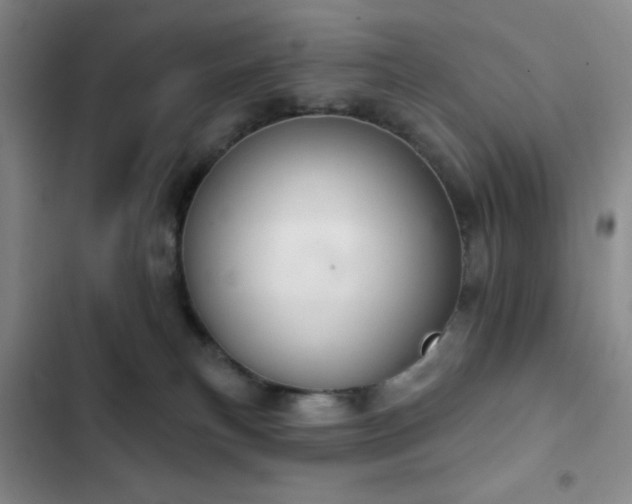 X0000103170183200808221243