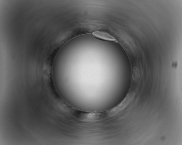 X0000103170184200808221243