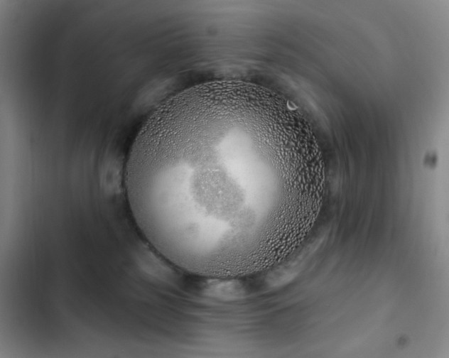 X0000103170185200808221243