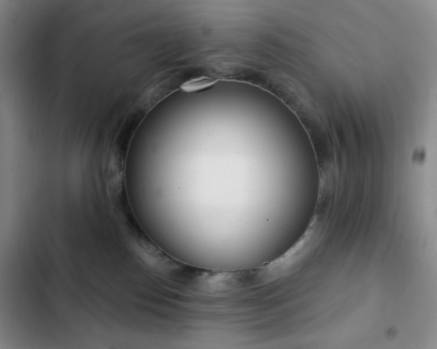 X0000103170186200808221243