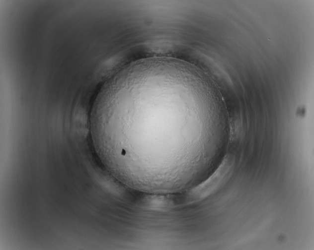 X0000103170187200808221243