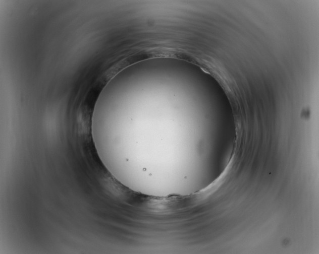 X0000103170190200808221243