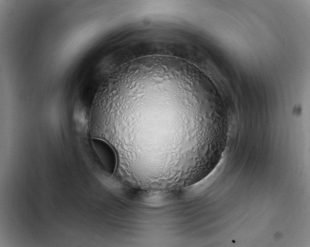 X0000103170191200808221243