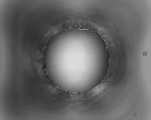 X0000103170192200808221243