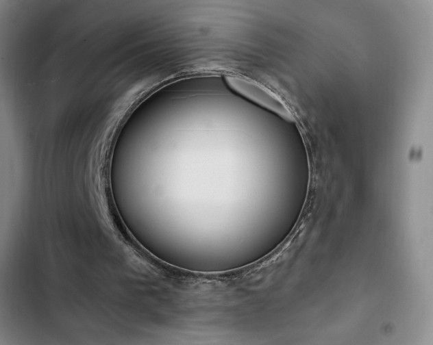 X0000103170193200808221243