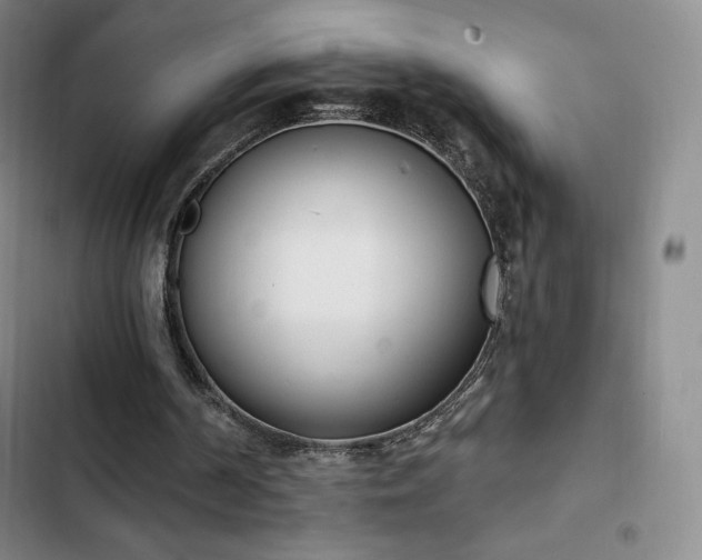 X0000103170194200808221243