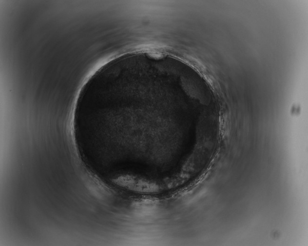 X0000103170196200808221242