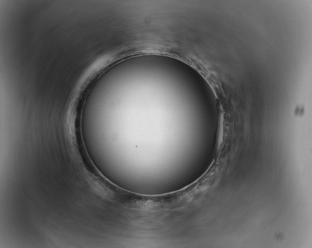 X0000103170197200808221242