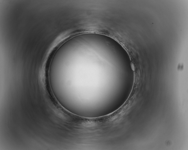 X0000103170198200808221242