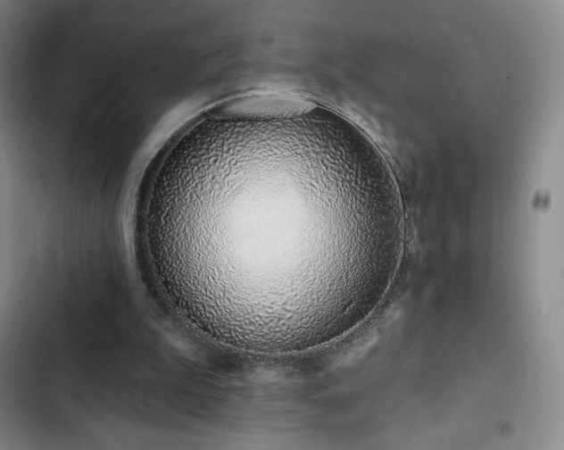 X0000103170199200808221242