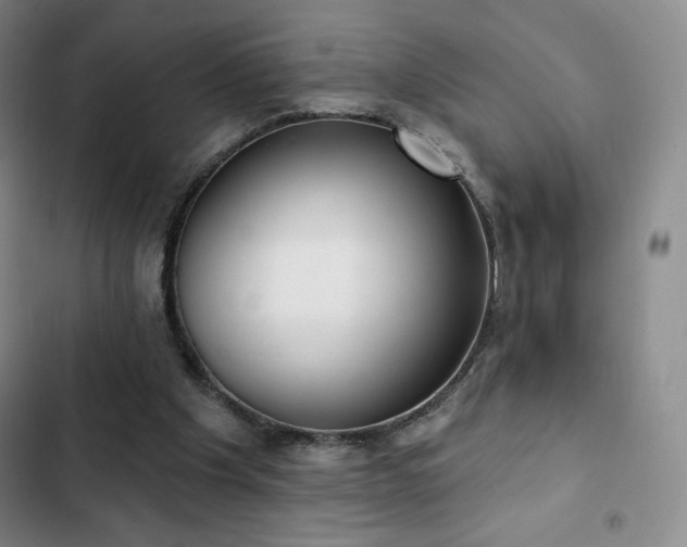 X0000103170201200808221242