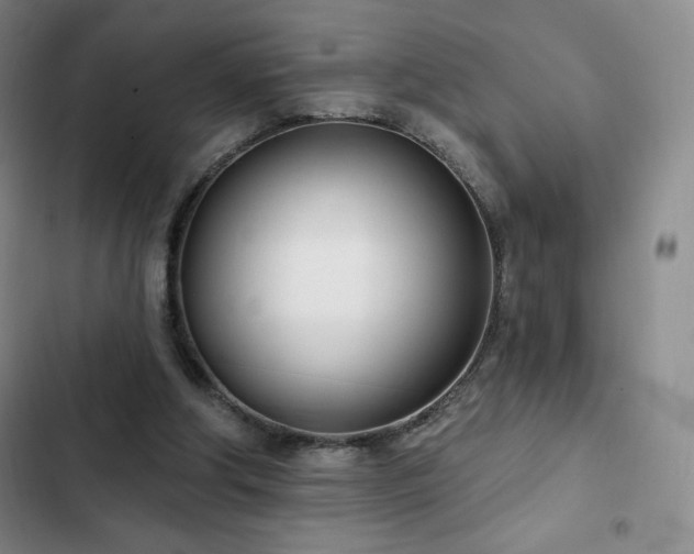 X0000103170202200808221242