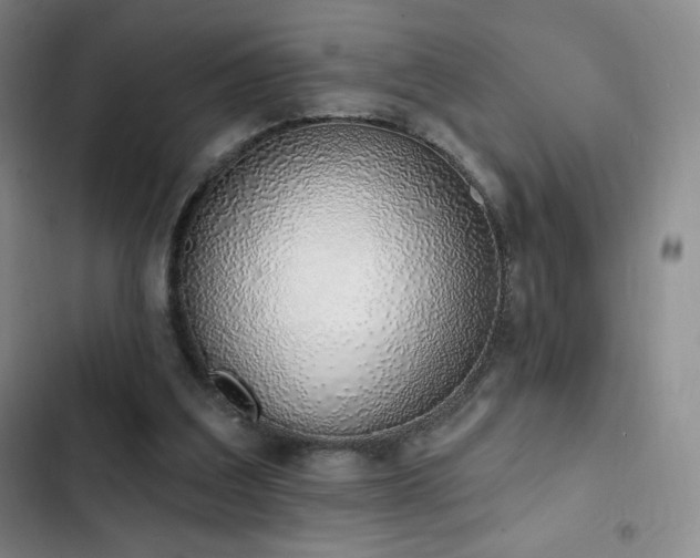 X0000103170203200808221242