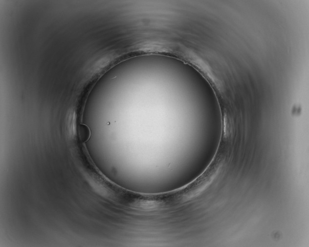 X0000103170205200808221242