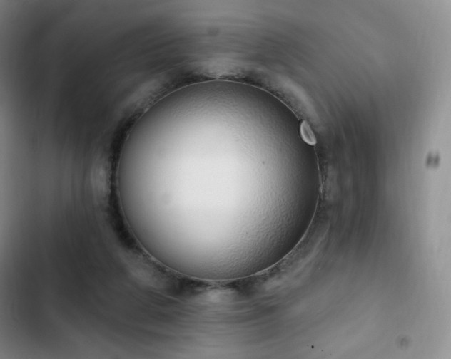 X0000103170210200808221242