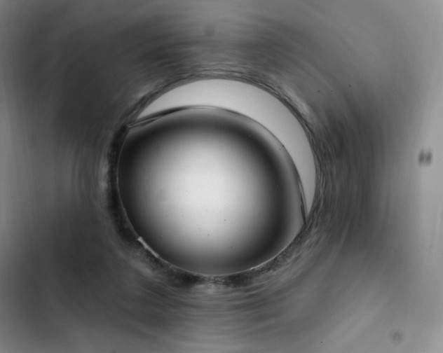 X0000103170211200808221242