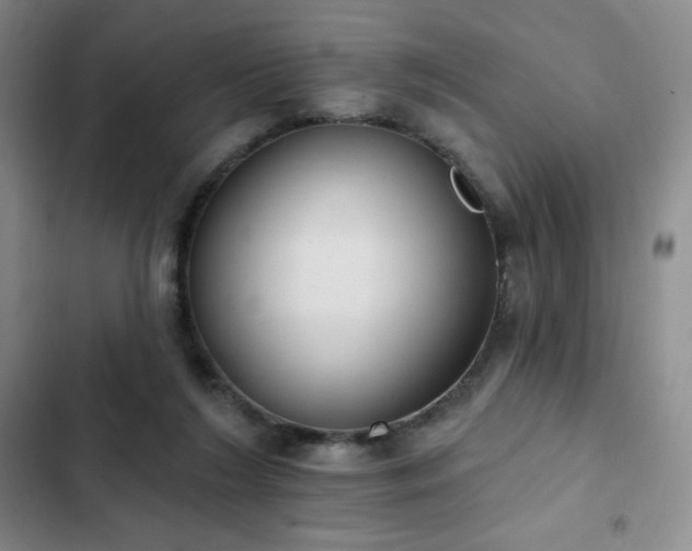 X0000103170212200808221242