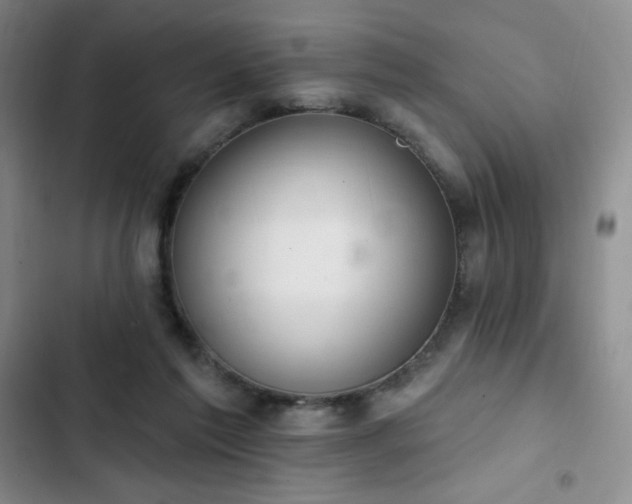 X0000103170213200808221242