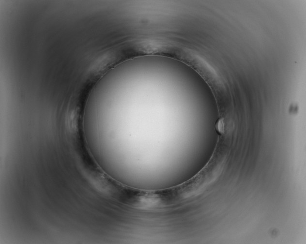 X0000103170214200808221242