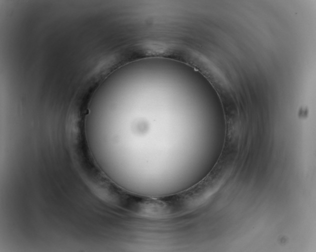 X0000103170215200808221242