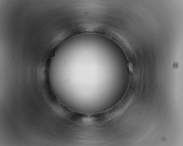 X0000103170216200808221242