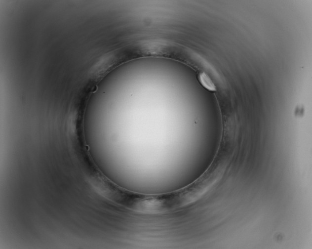 X0000103170217200808221242