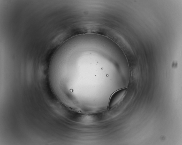 X0000103170218200808221242