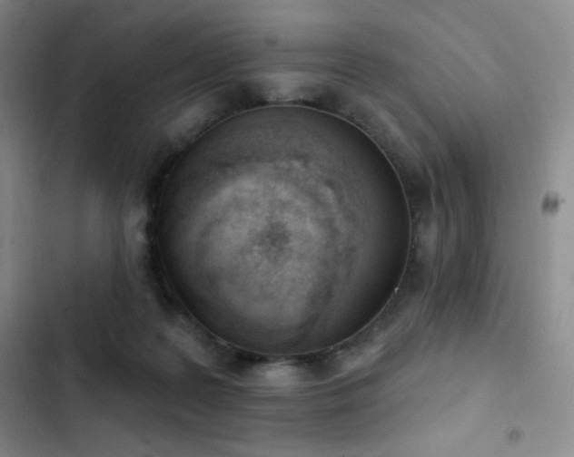 X0000103170219200808221242