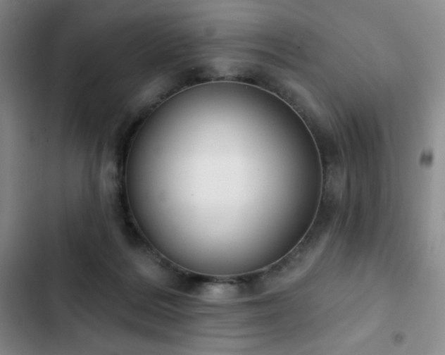 X0000103170220200808221242